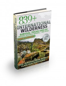 International wilderness 3d