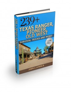 Texas Ranger 3d